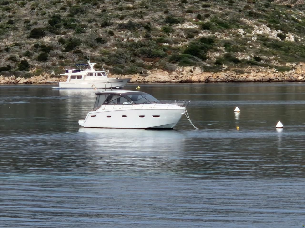 Sealine SC 35