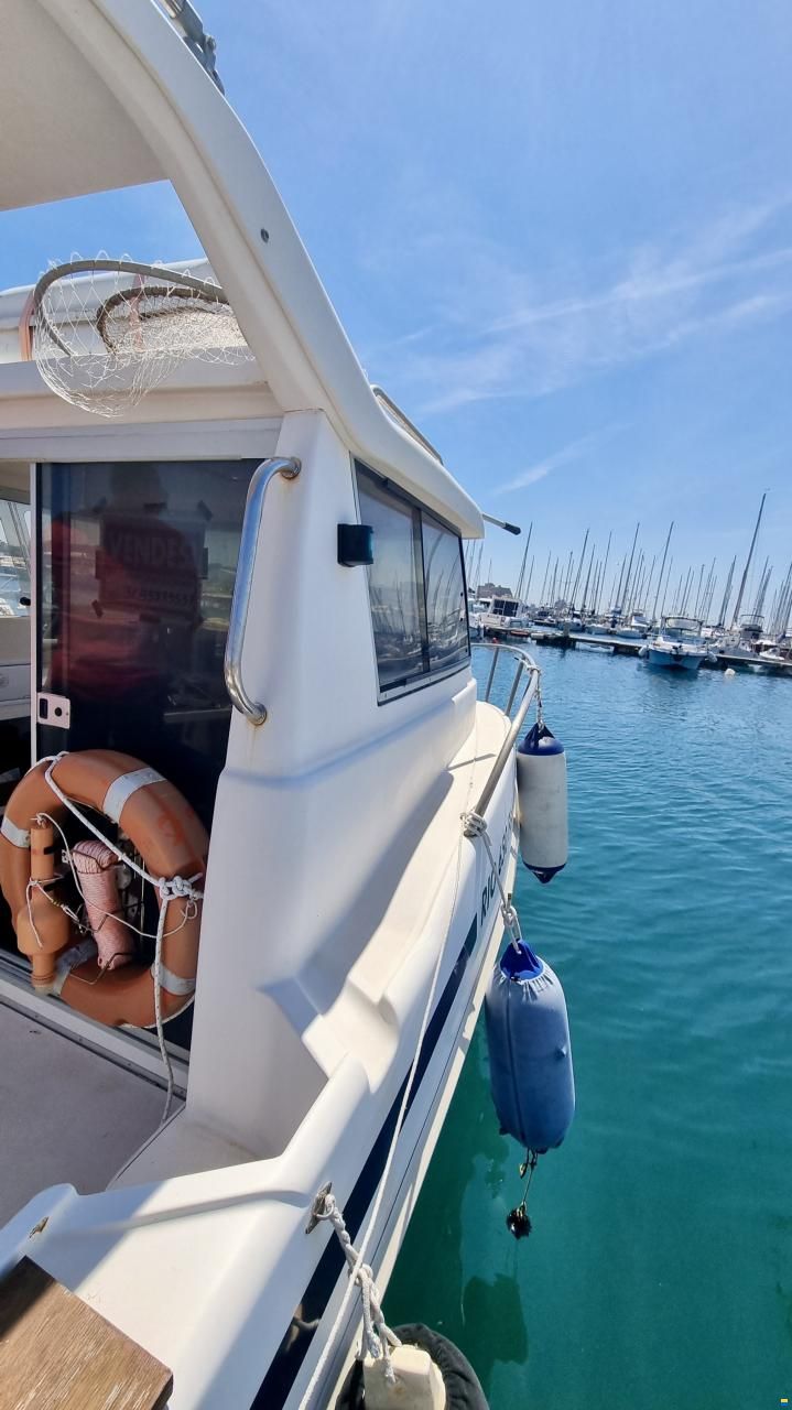 Rio 650 Cabin Fish