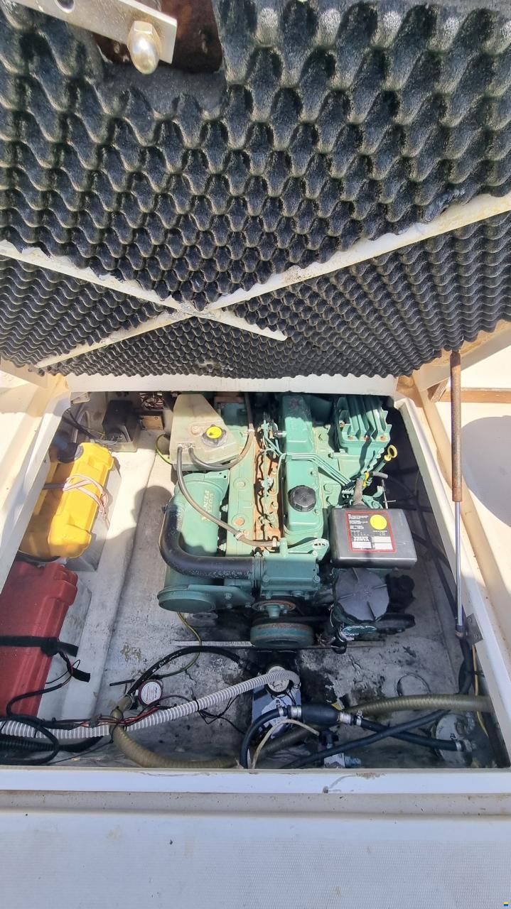 Rio 650 Cabin Fish