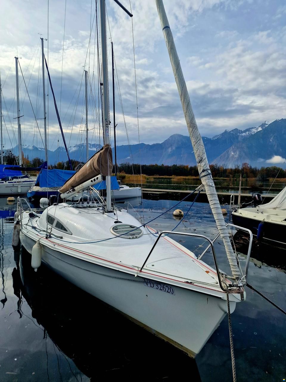 Archambault Surprise