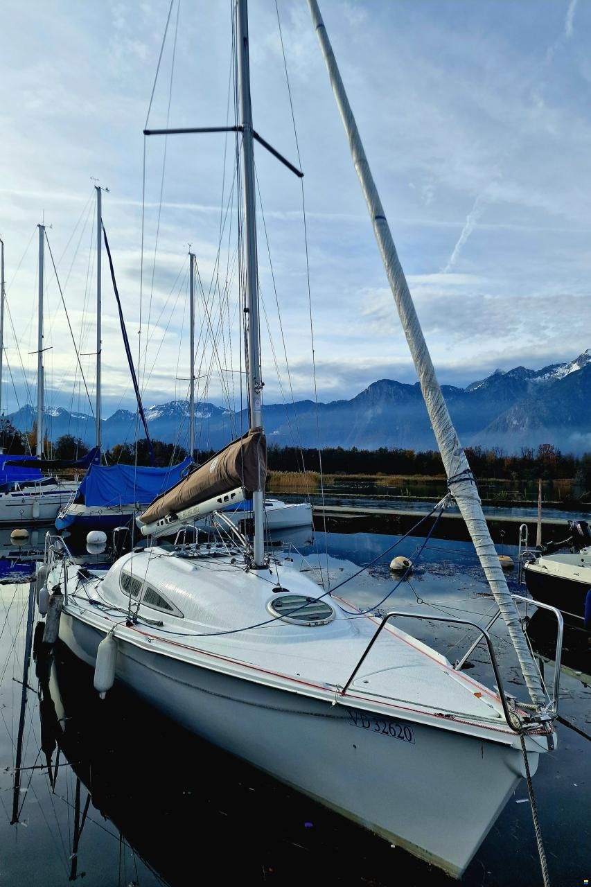 Archambault Surprise