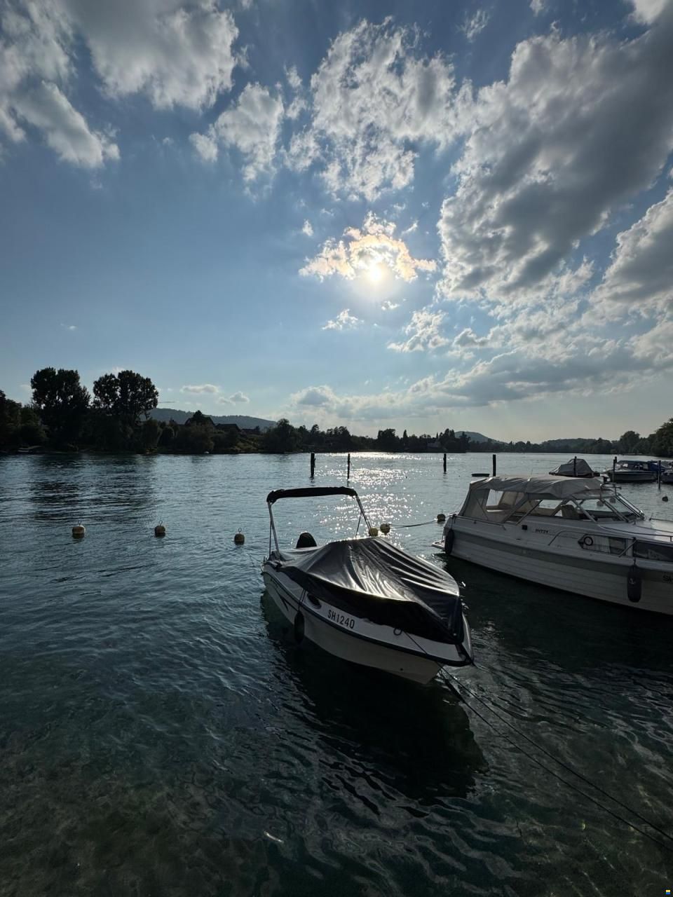 Nireus Omega 53 Elegance