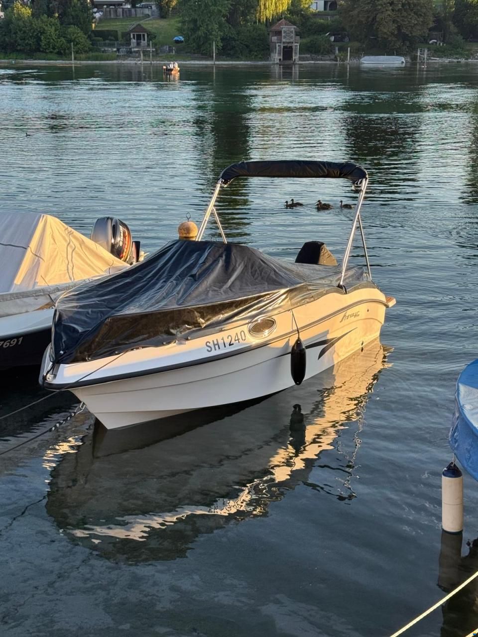 Nireus Omega 53 Elegance