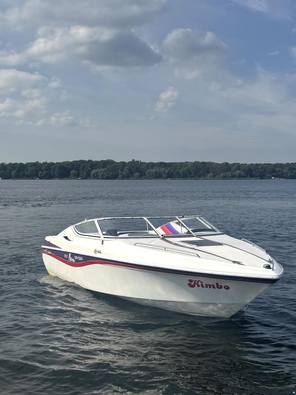 Wellcraft Nova 202 Spyder