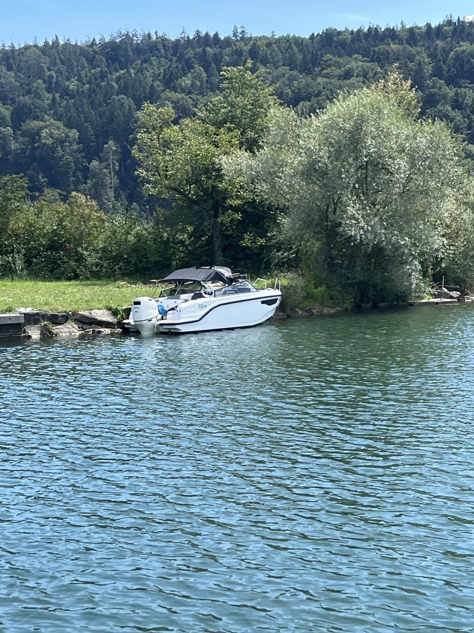 Silver Tiger DCz - Petestep&reg;