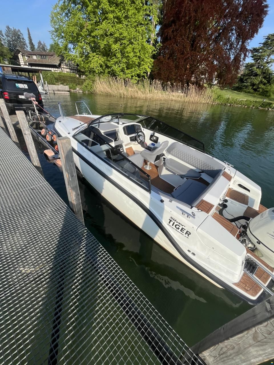 Silver Tiger DCz - Petestep&reg;