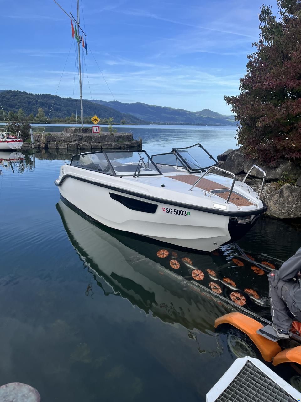 Silver Tiger DCz - Petestep&reg;