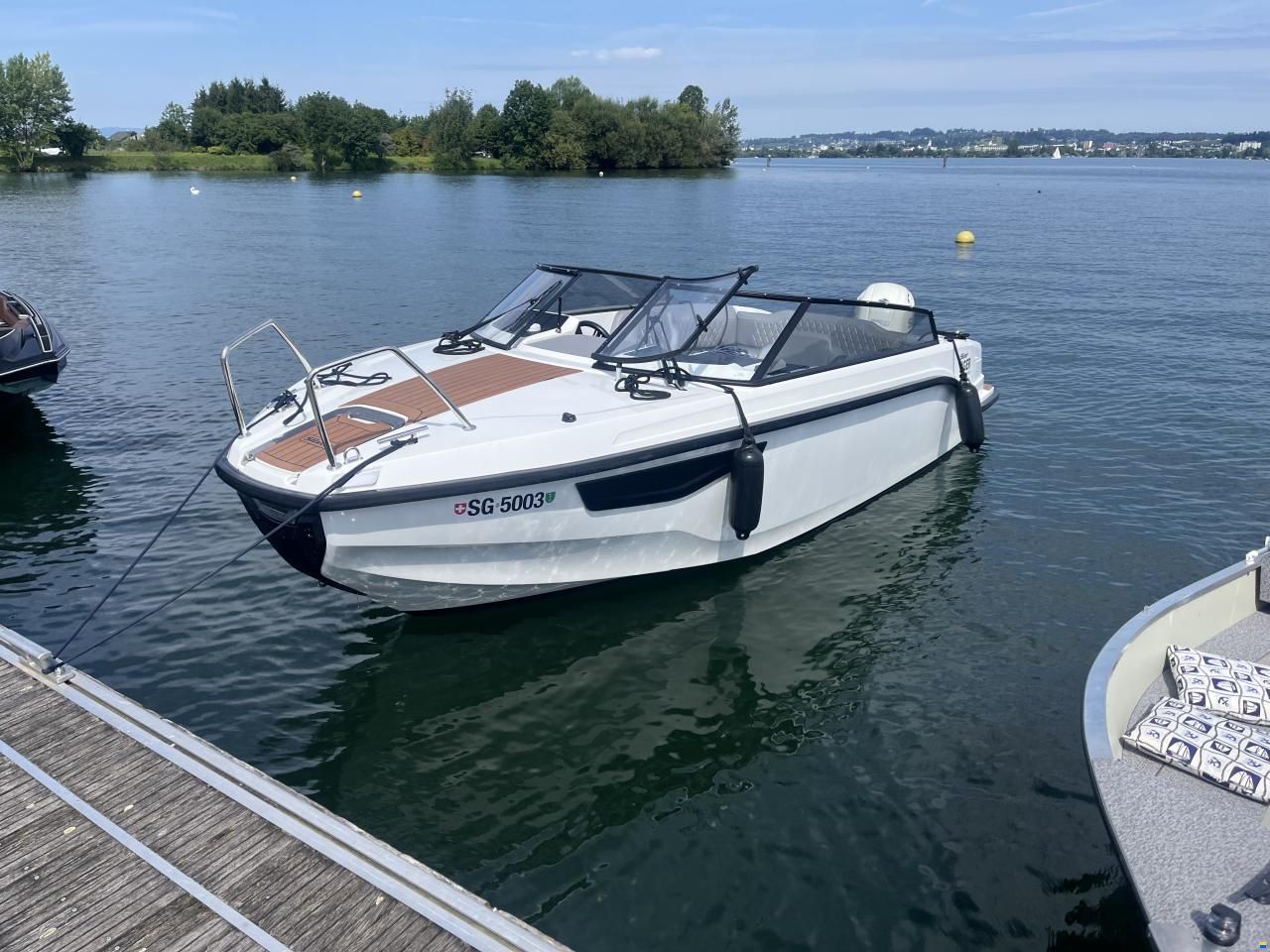 Silver Tiger DCz - Petestep&reg;