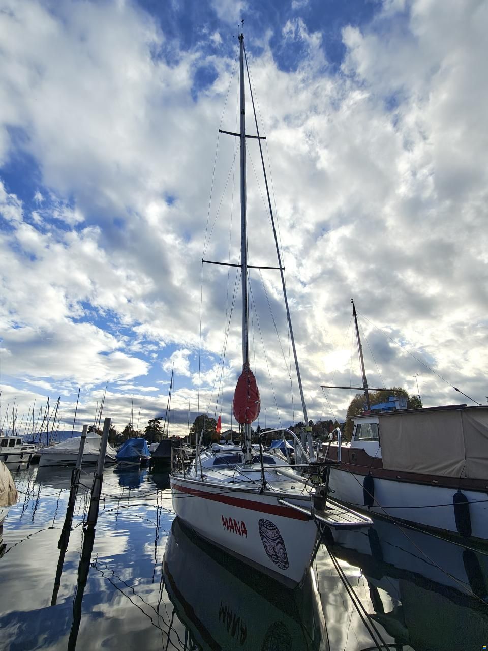 Quéré / Super Arlequin