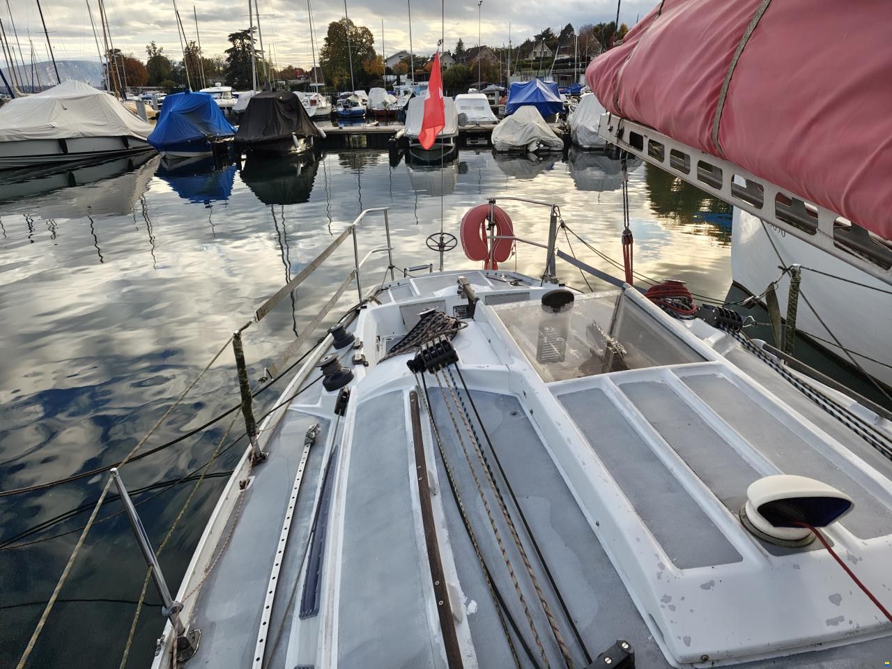 Quéré / Super Arlequin