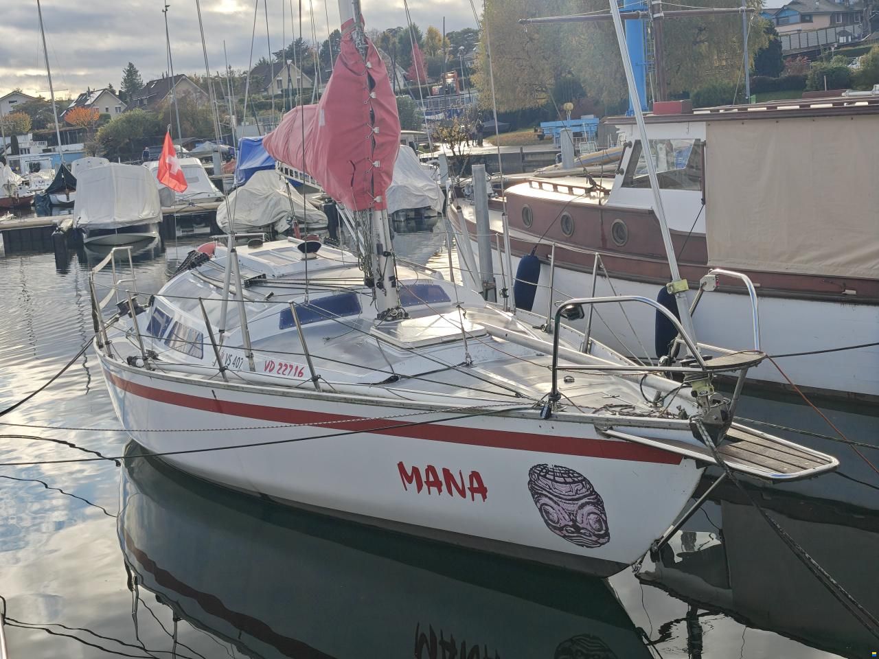 Quéré / Super Arlequin