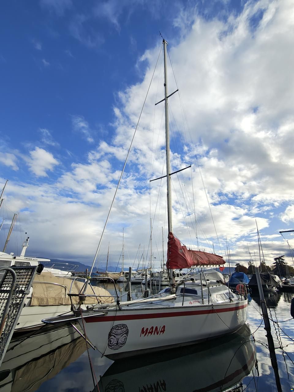 Quéré / Super Arlequin