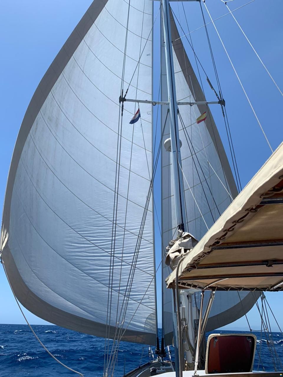 Lagoon Royal Pilot Saloon 65
