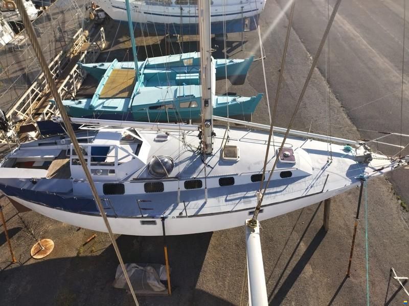 Custom Built Trielen TRIELEN