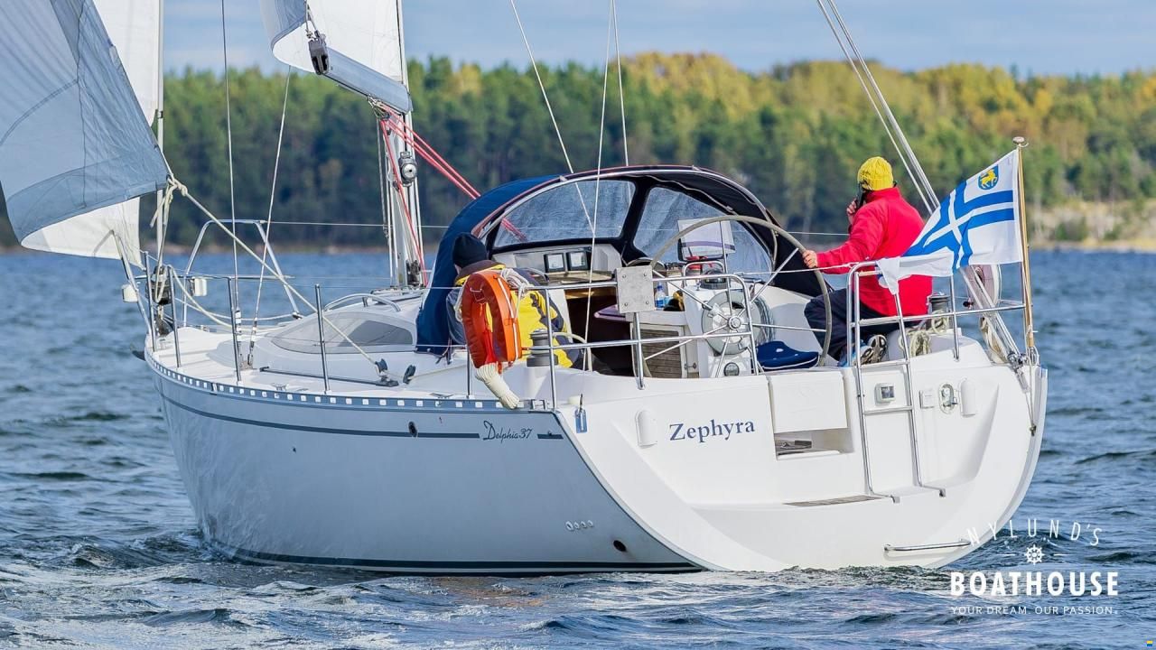 Delphia D37