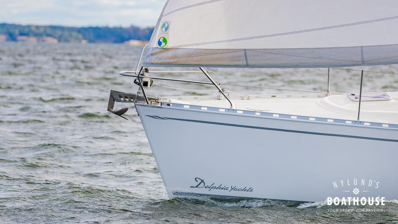 Delphia D37