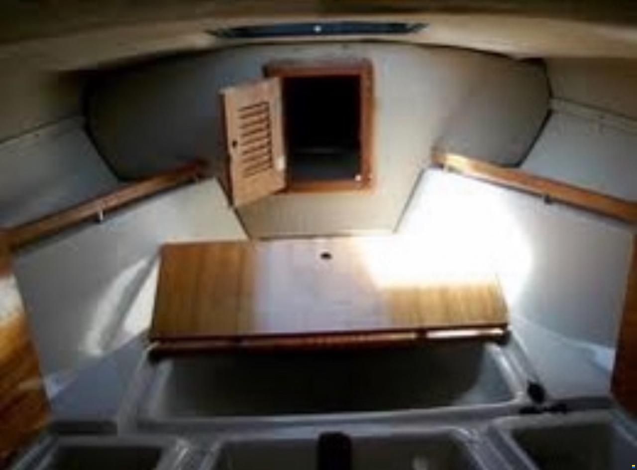 Boston Whaler Revenge 22