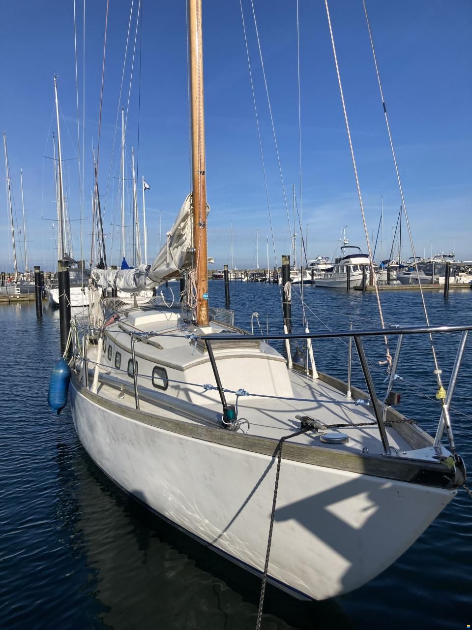 Danboat 33