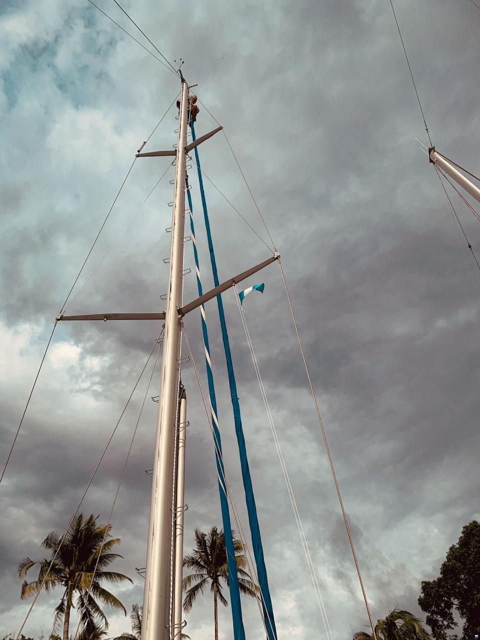 Stichnoth 46 Clipper Cutter