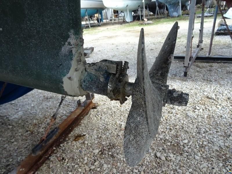 Crossbow 40