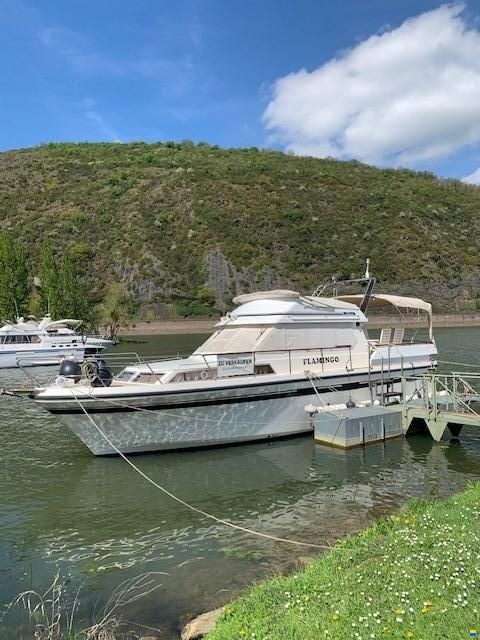 Pfeil 42