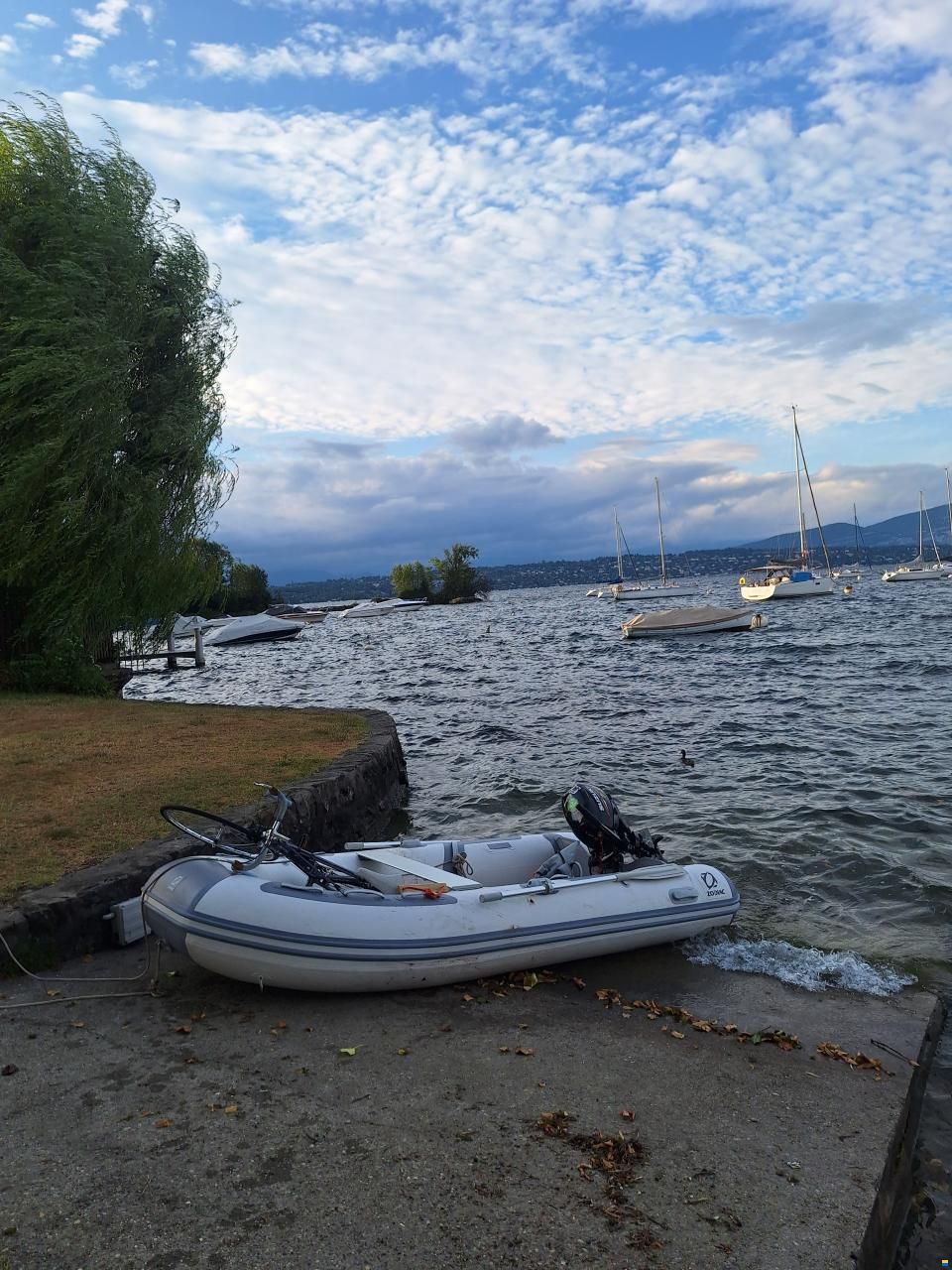 Zodiac Cadet 350 aero