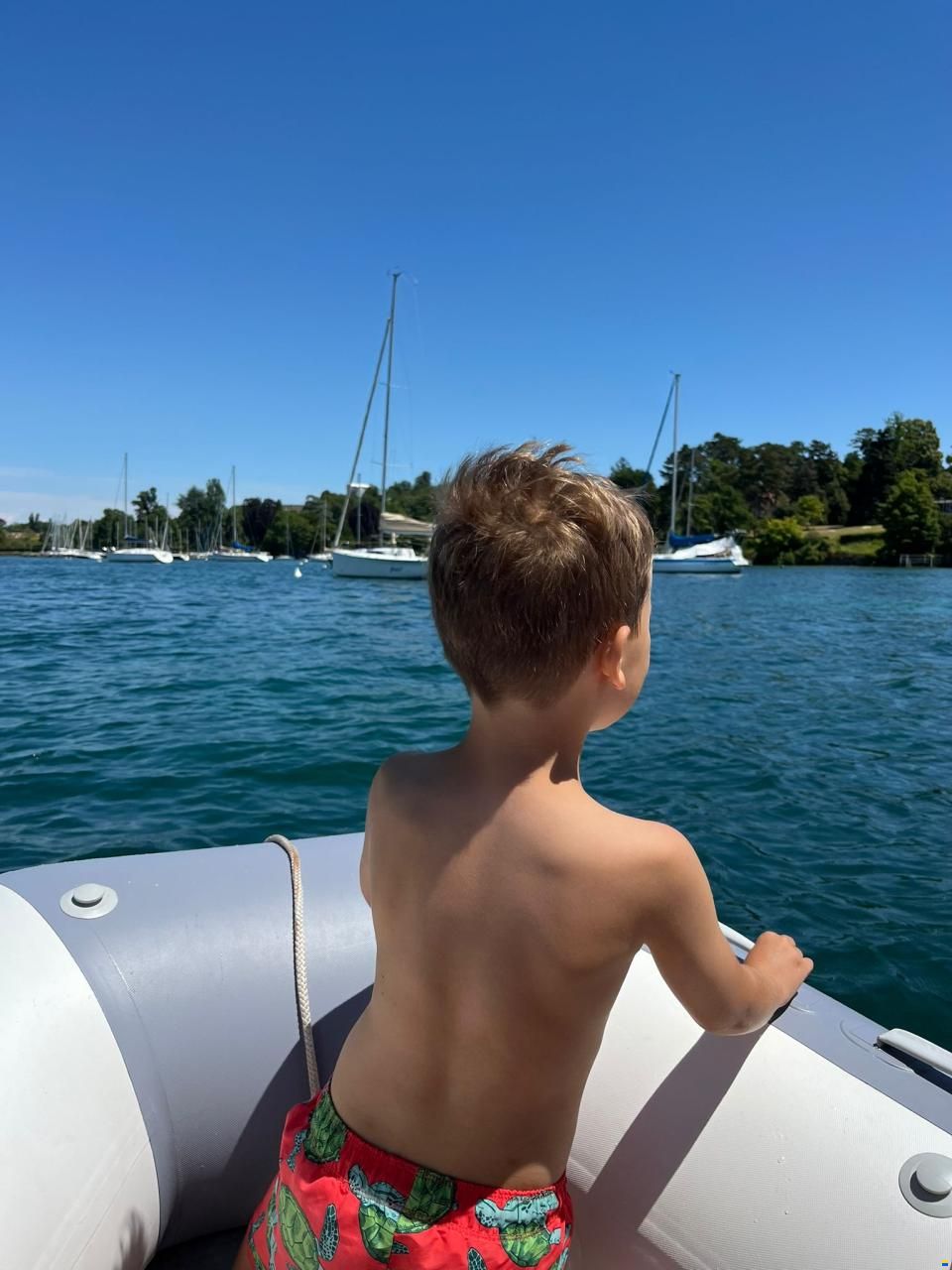 Zodiac Cadet 350 aero