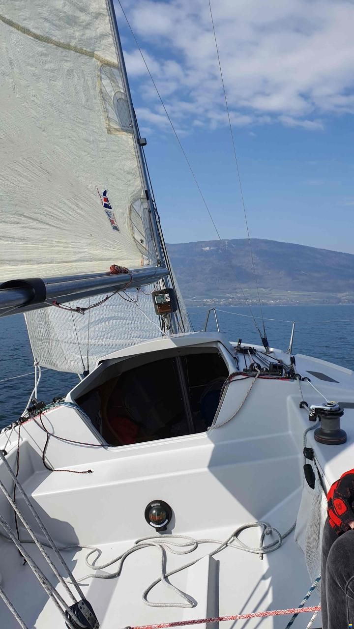 Maxi Dolphin Dolphin 81