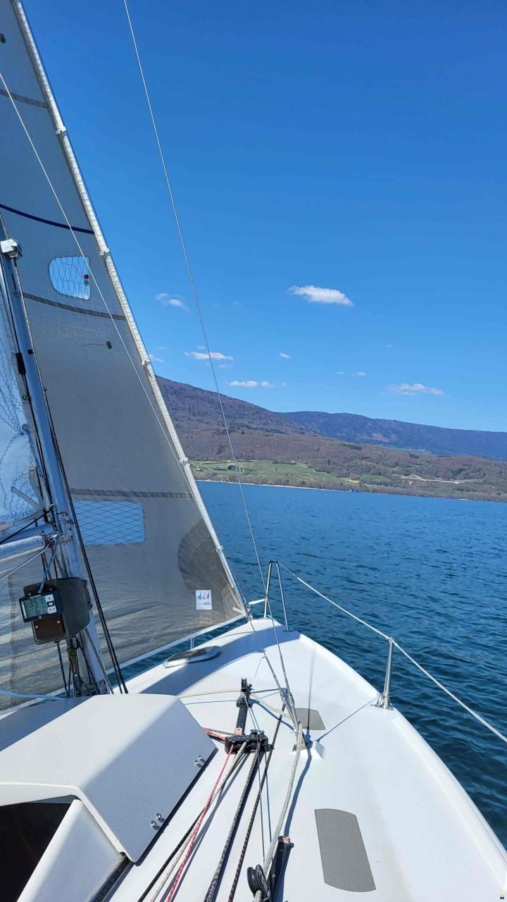 Maxi Dolphin Dolphin 81