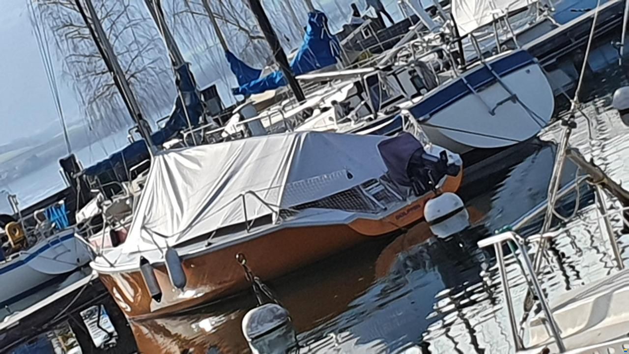 Maxi Dolphin Dolphin 81