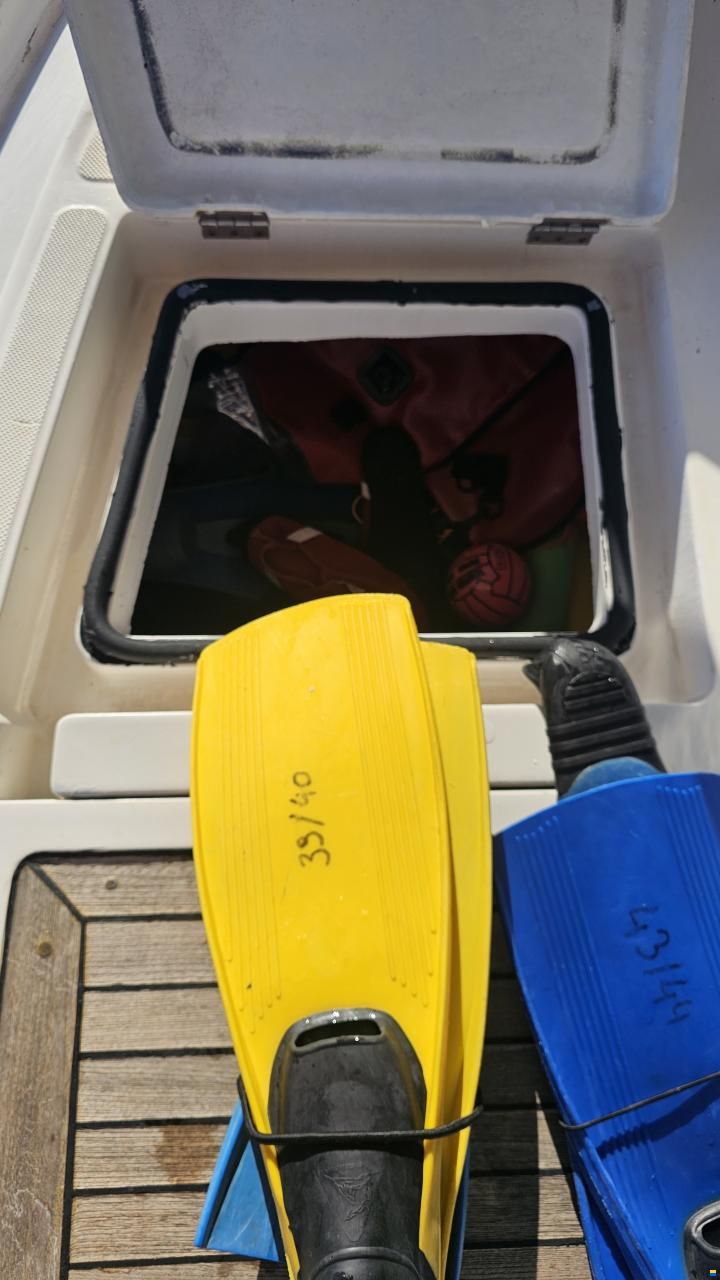 Ocean Star 51.2