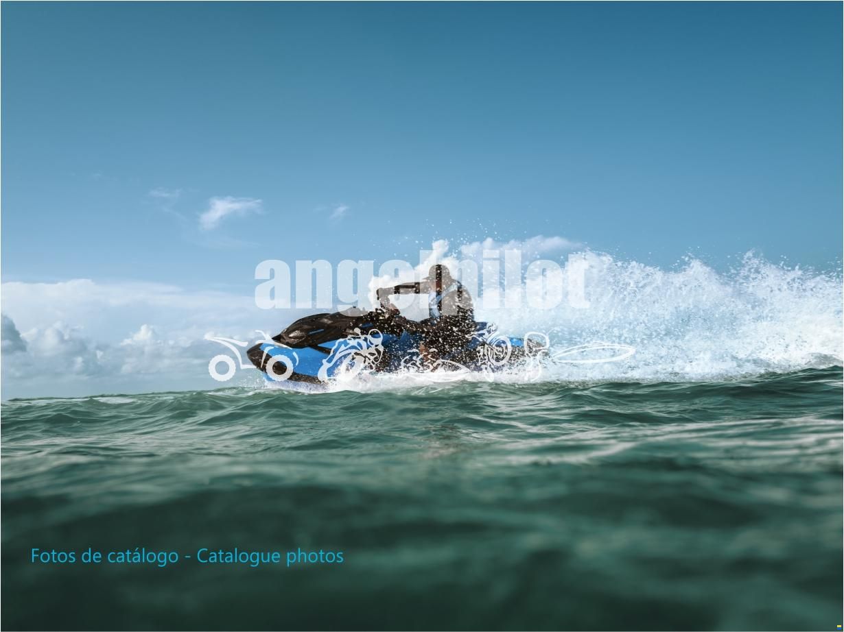 Sea-Doo RXP-X 325