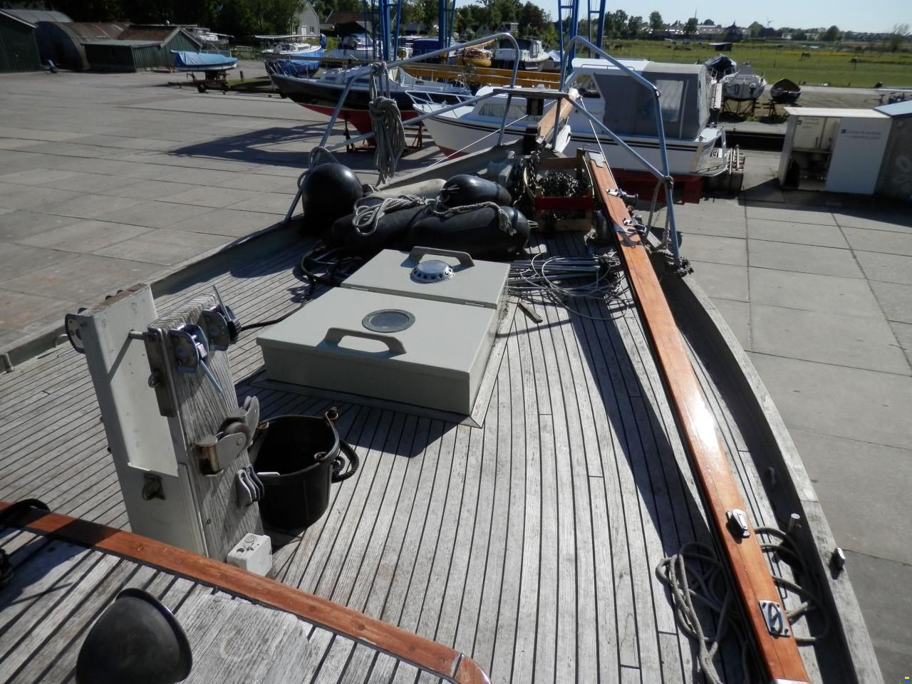 Danish Rose 31