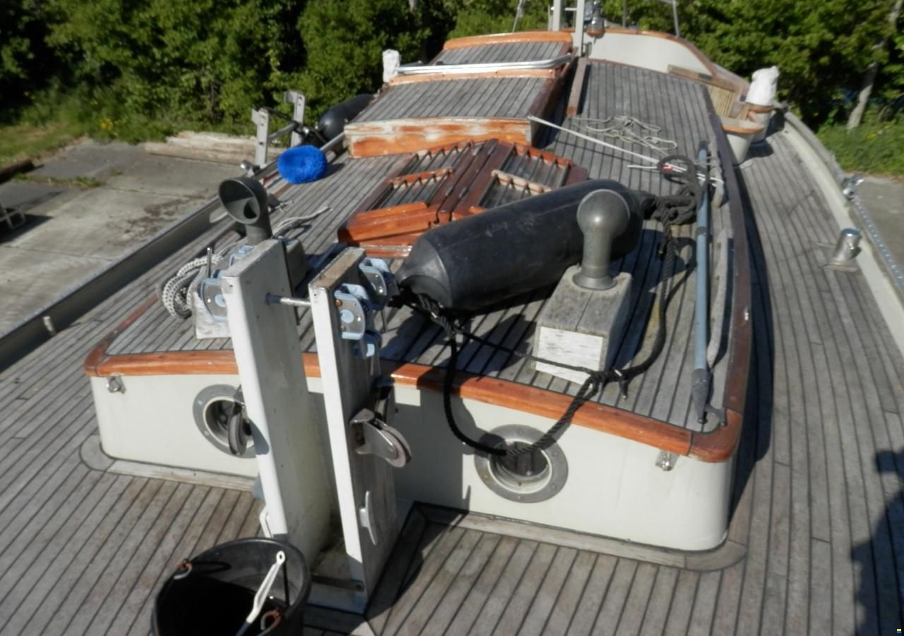 Danish Rose 31