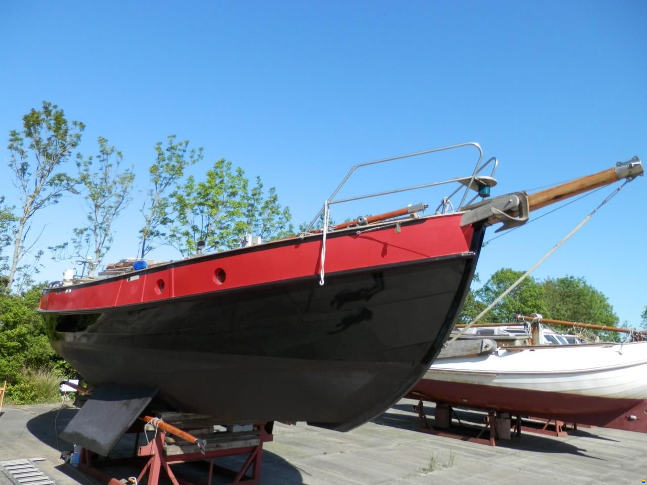 Danish Rose 31