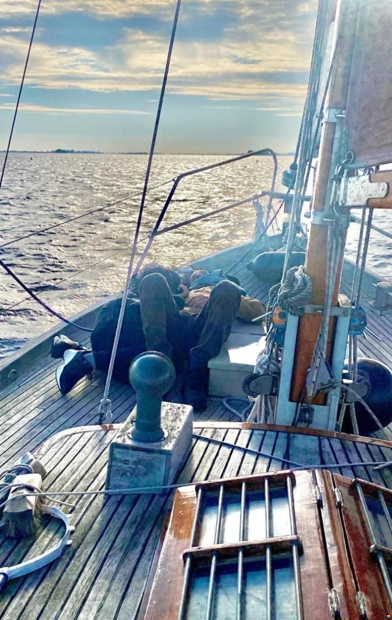 Danish Rose 31