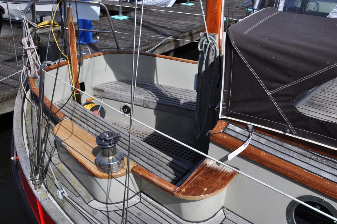 Danish Rose 31