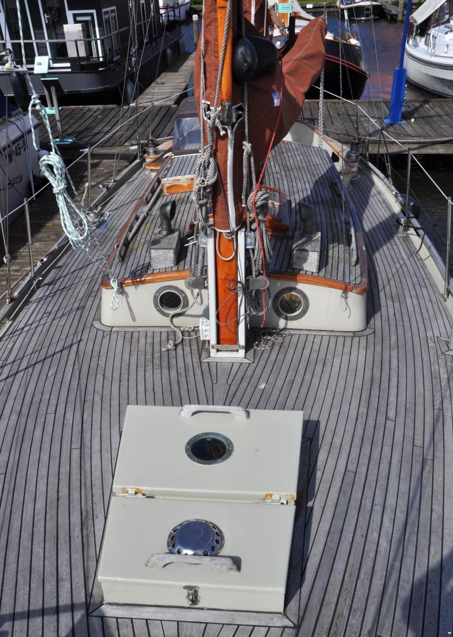 Danish Rose 31