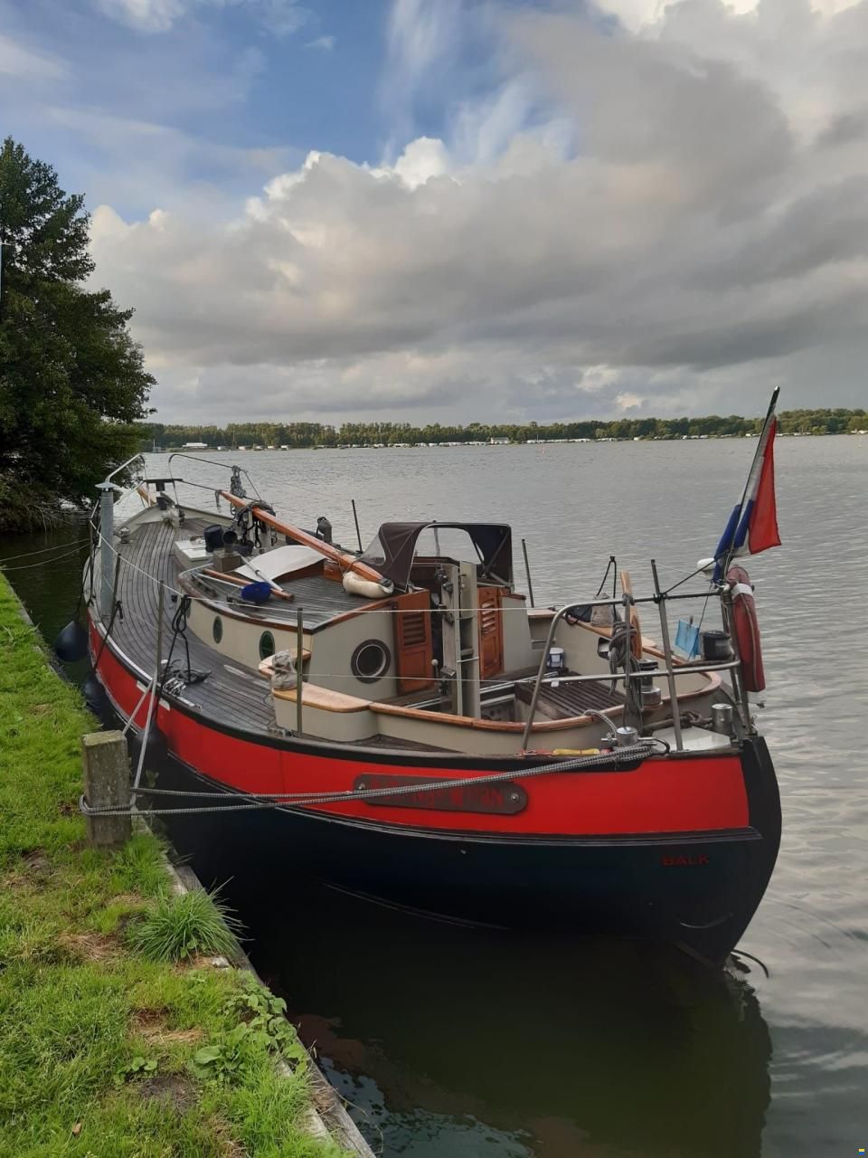 Danish Rose 31