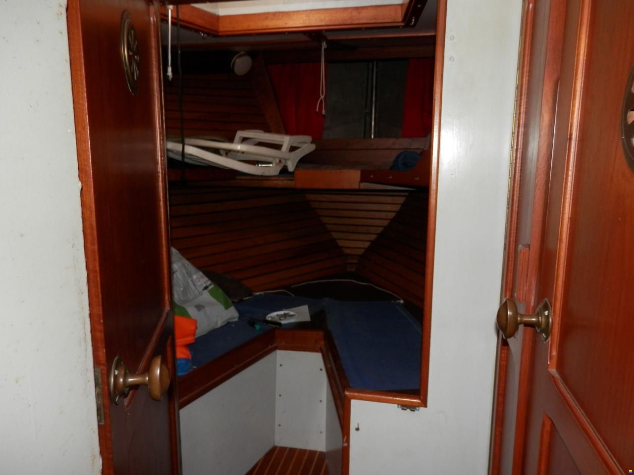 Danish Rose 31