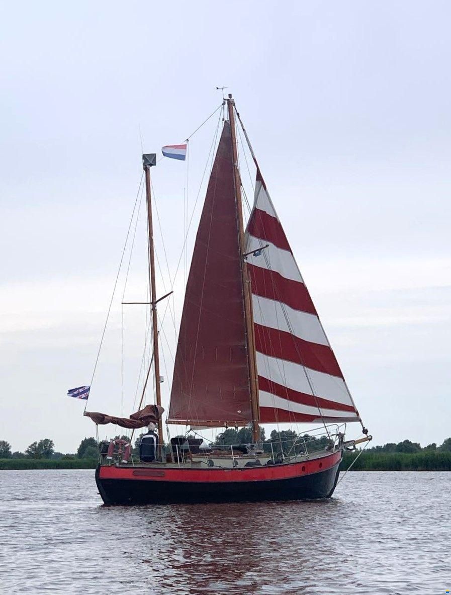 Danish Rose 31