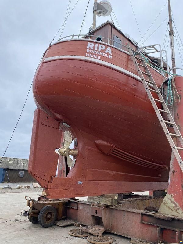 Ripa