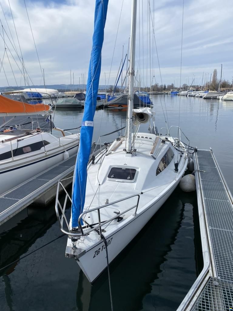 Archambault Surprise