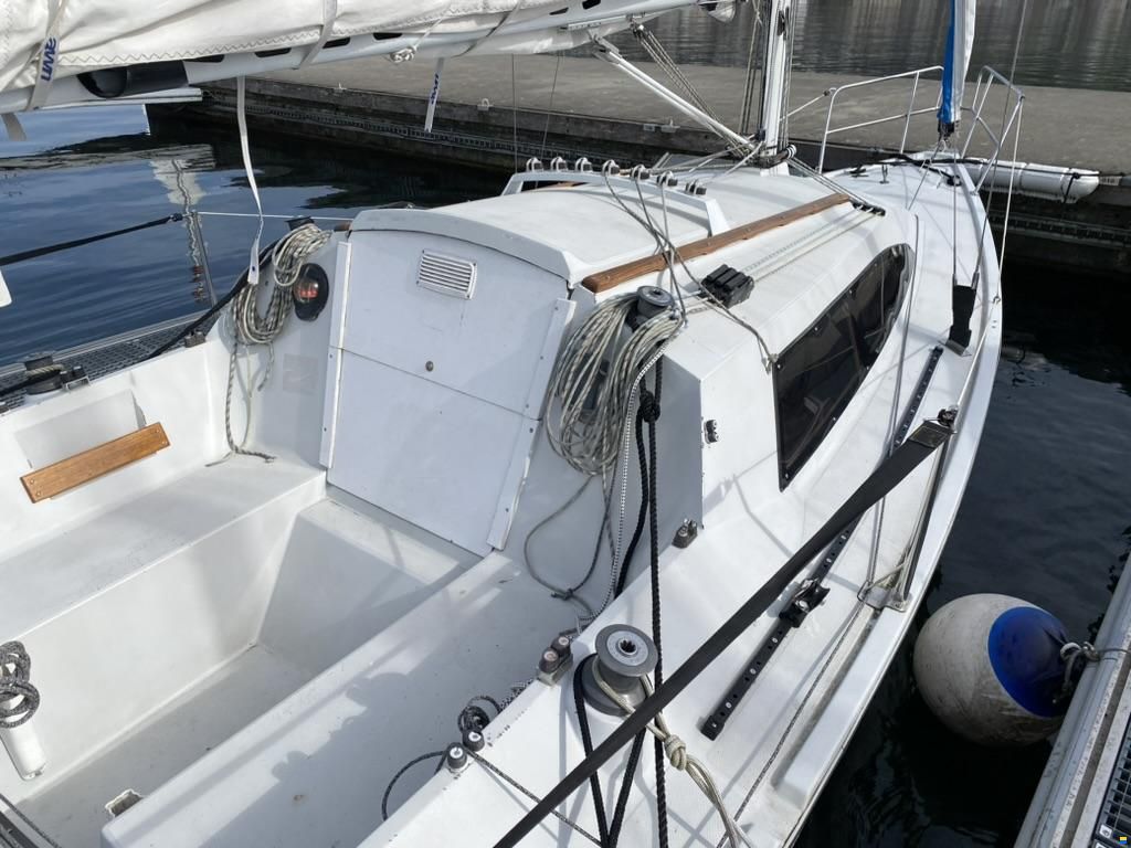 Archambault Surprise