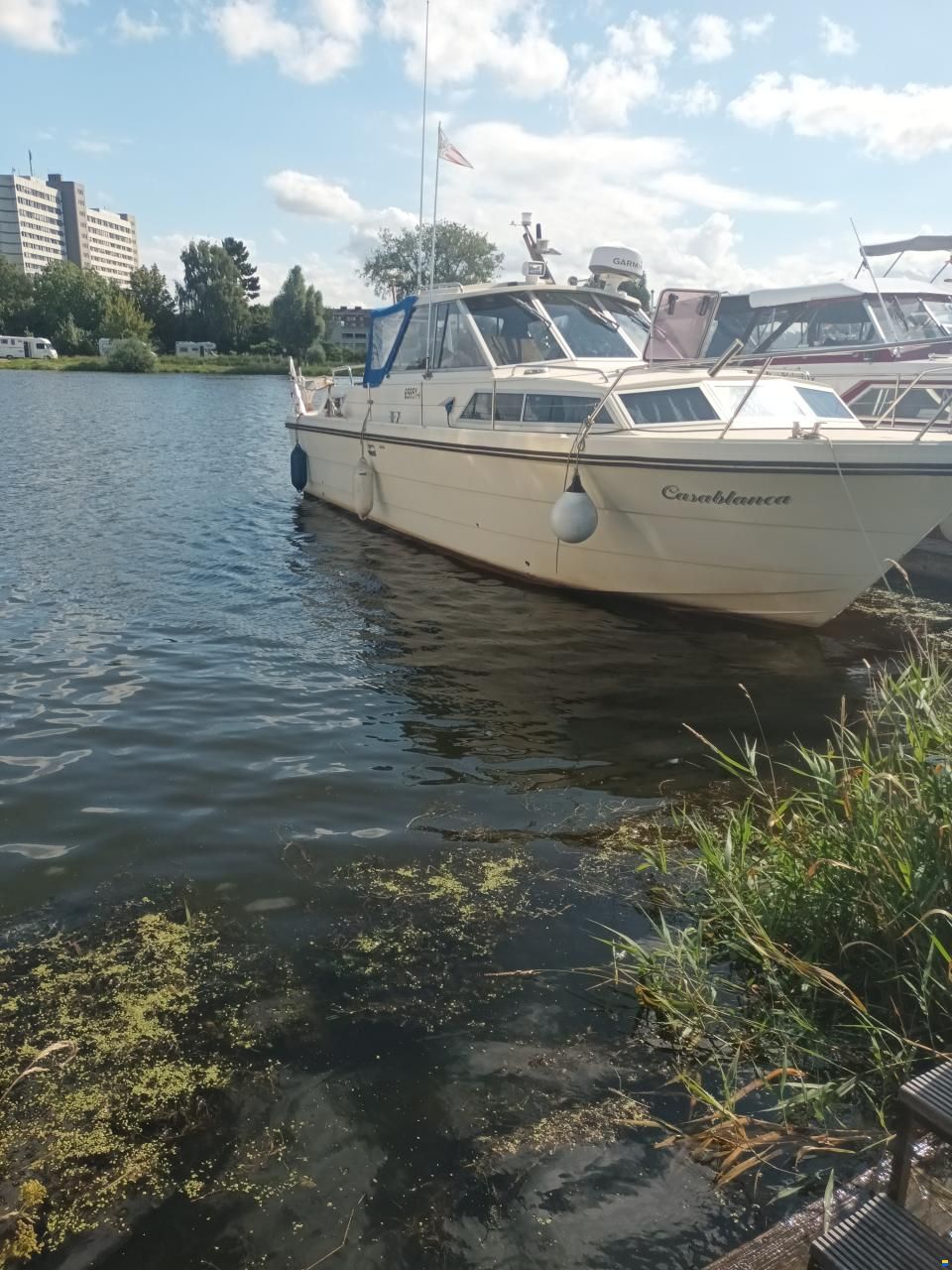 Abegglen Salt&ouml;31