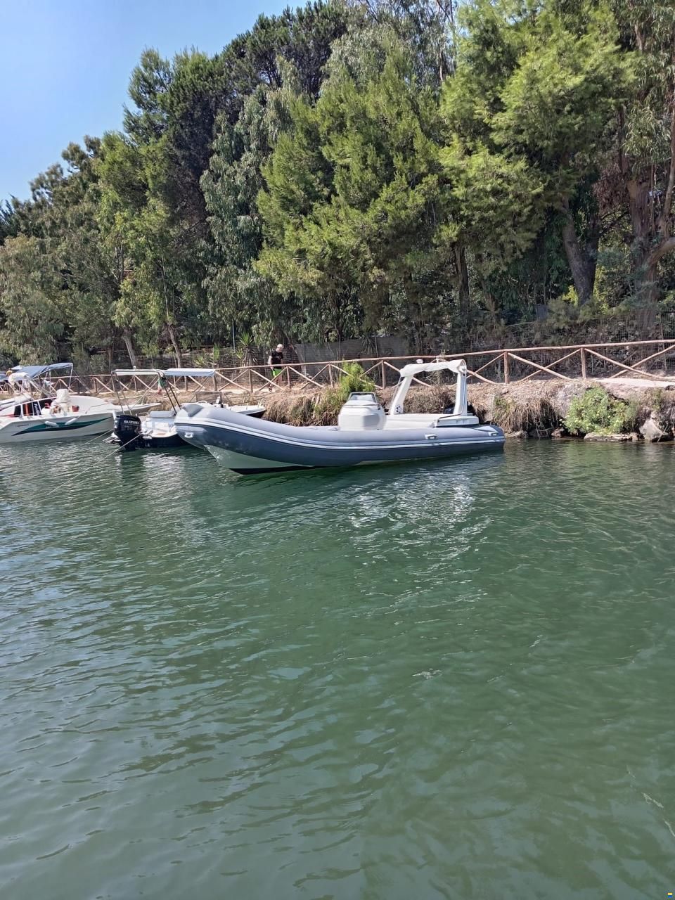 Callegari 650