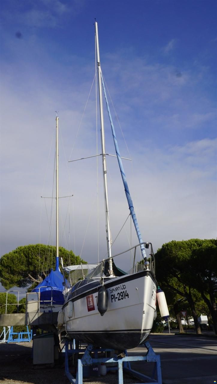 MacGregor 26