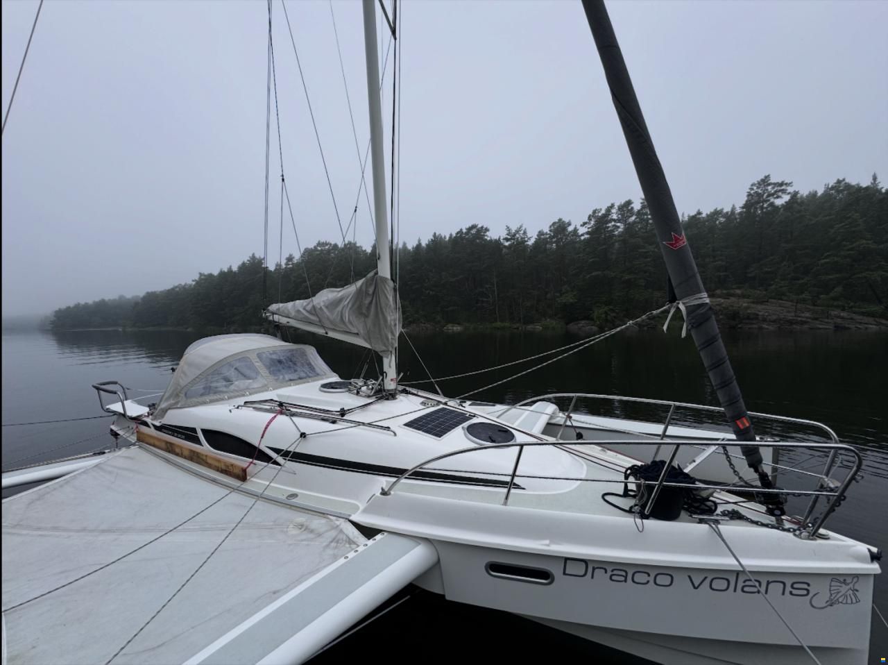 Dragonfly 28 Sport