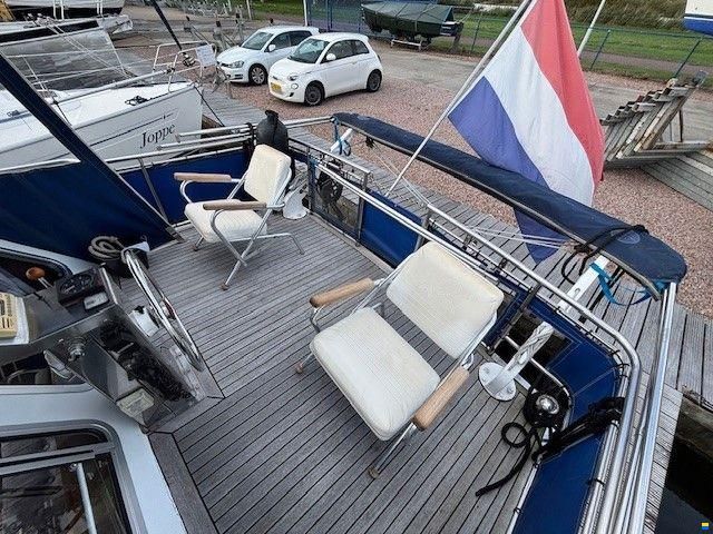 Dutch Lady
