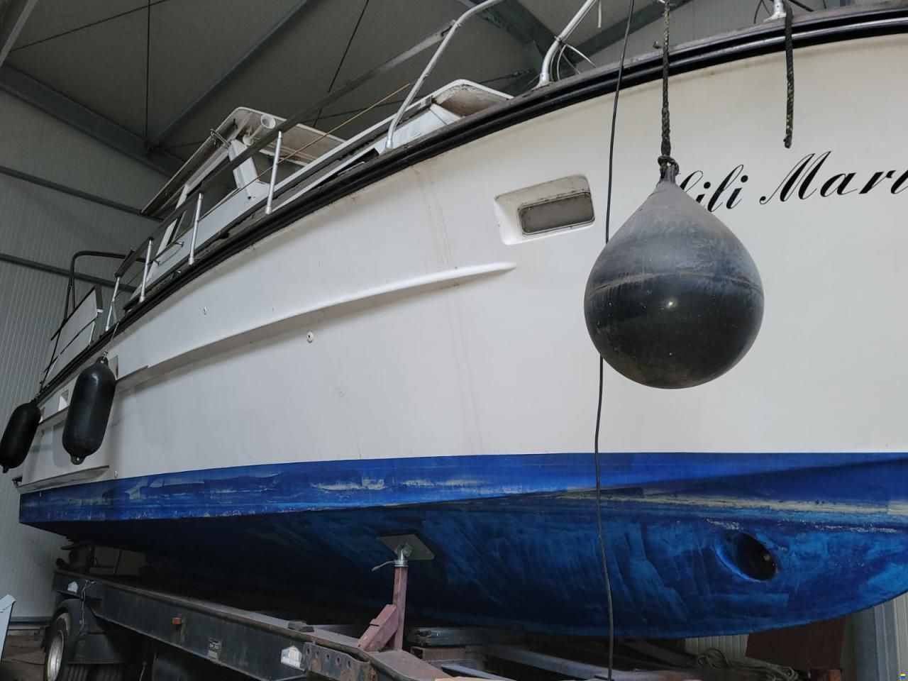 Cytra Ambassador 38